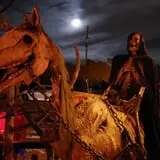 Skeleton Horse AKA "Mr Dead"  