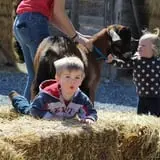 Cross E Ranch Fall Festival photo
