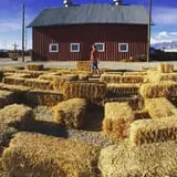 Cross E Ranch Fall Festival photo