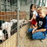 Cross E Ranch Fall Festival photo