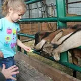 Cross E Ranch Fall Festival photo