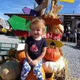 Cross E Ranch Fall Festival photo