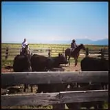 Cross E Ranch Fall Festival photo