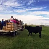 Cross E Ranch Fall Festival photo