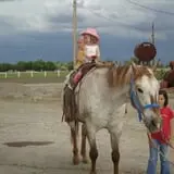 Cross E Ranch Fall Festival photo