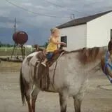 Cross E Ranch Fall Festival photo