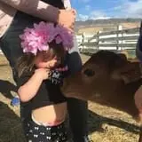 Cross E Ranch Fall Festival photo