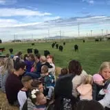 Cross E Ranch Fall Festival photo