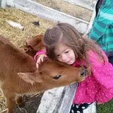 Cross E Ranch Fall Festival photo