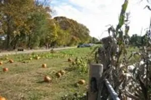 Elwood Pumpkin Farm