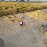 AMAZEing Acres Corn Maze photo