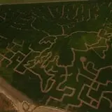 AMAZEing Acres Corn Maze photo