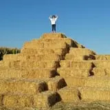 AMAZEing Acres Corn Maze photo
