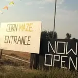 AMAZEing Acres Corn Maze photo