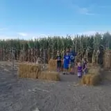 AMAZEing Acres Corn Maze photo