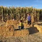 AMAZEing Acres Corn Maze photo