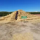 AMAZEing Acres Corn Maze photo