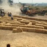 AMAZEing Acres Corn Maze photo