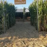 AMAZEing Acres Corn Maze photo