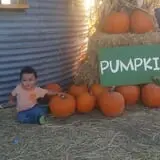 AMAZEing Acres Corn Maze photo