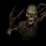 Scary Harry photo