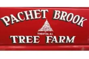 Pachet Brook Tree Farm