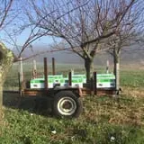 Echo Hill Orchards and Winery photo