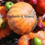 Echo Hill Orchards and Winery photo