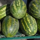 Echo Hill Orchards and Winery photo