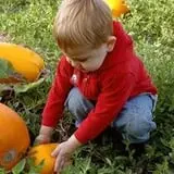 Echo Hill Orchards and Winery photo