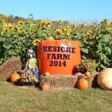 Kesicke Farm Fall Festival photo