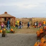 Kesicke Farm Fall Festival photo