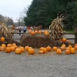 Kesicke Farm Fall Festival photo