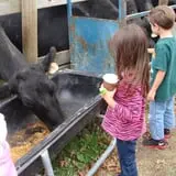Kesicke Farm Fall Festival photo