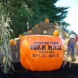 Kesicke Farm Fall Festival photo