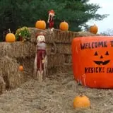 Kesicke Farm Fall Festival photo