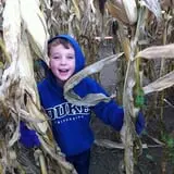Kesicke Farm Fall Festival photo
