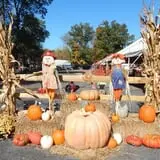 Kesicke Farm Fall Festival photo