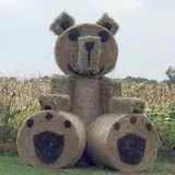 Kesicke Farm Fall Festival photo