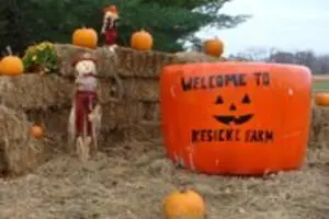 Kesicke Farm Fall Festival