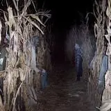 Putnam County's Haunted Cornfield photo