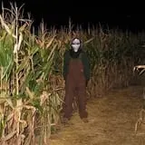 Putnam County's Haunted Cornfield photo