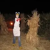 Putnam County's Haunted Cornfield photo
