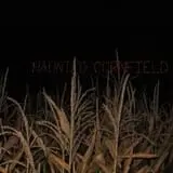 Putnam County's Haunted Cornfield photo