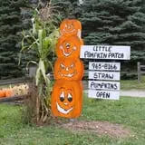 Little Pumpkin Patch photo