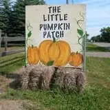 Little Pumpkin Patch photo
