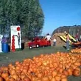 Heartland Farms Halloween Fun photo