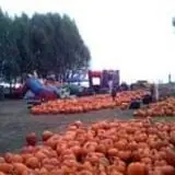 Heartland Farms Halloween Fun photo