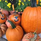 Heartland Farms Halloween Fun photo