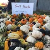 Heartland Farms Halloween Fun photo
